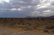 Samburu Kenya